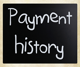 credit report and payment history