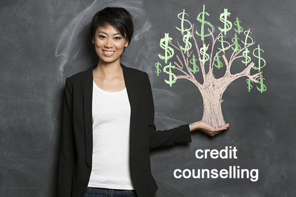 credit counselling sessions